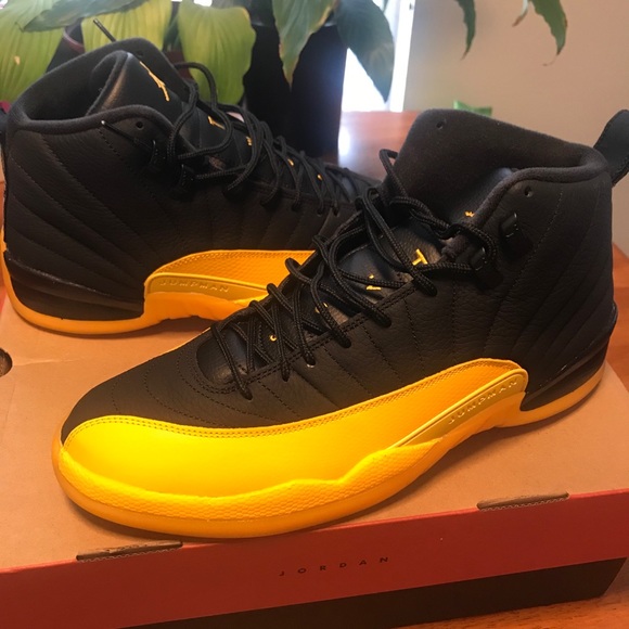 Jordan 12 university gold